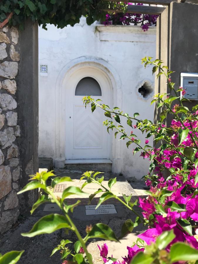 Casa Maddy Bed and Breakfast Capri Eksteriør billede